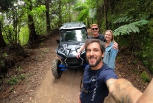 Exclusive Private Buggy Adventure: Forest and Mountains