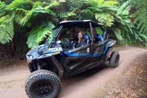 Exclusive Private Buggy Adventure: Forest and Mountains