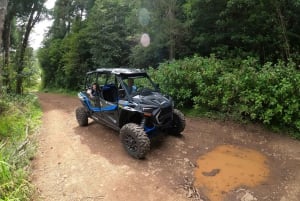 Exclusive Private Buggy Adventure: Forest and Mountains