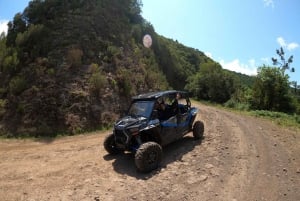 Exclusive Private Buggy Adventure: Forest and Mountains