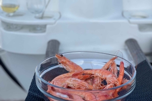 Funchal: Crociere private in barca a vela all'alba, al tramonto e al chiaro di luna