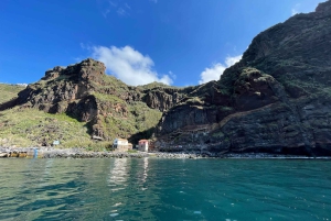 フンシャル：プライベートサンセットボートトリップ - シュノーケリング&パドルアップ 11 名様