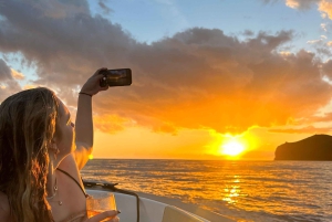 フンシャル：プライベートサンセットボートトリップ - シュノーケリング&パドルアップ 11 名様