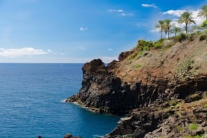 Funchal: Private Tour with a Local Guide