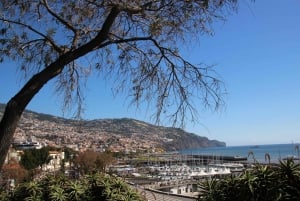 Funchal: Private Tour with a Local Guide