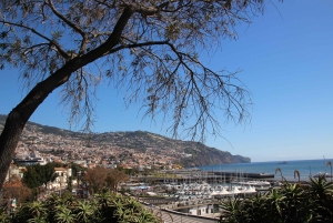 Funchal : visite privée à pied avec un habitant