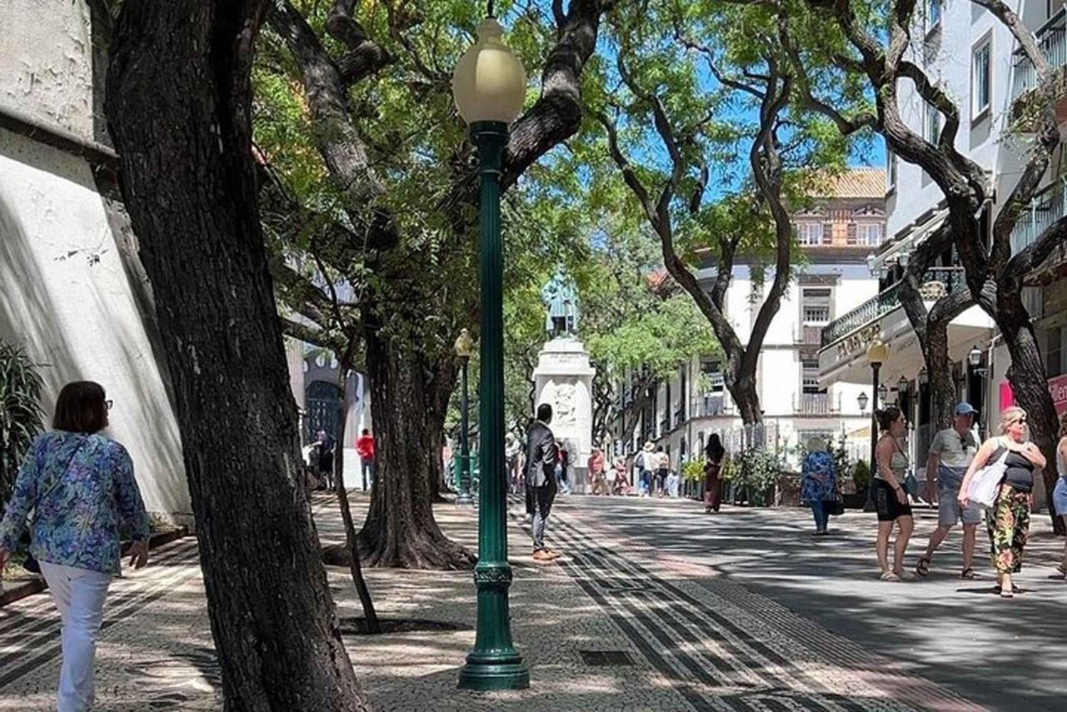 Funchal : visite rapide et amusante de 30 minutes en tuk-tuk avec un guide de la région