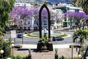 Funchal : visite rapide et amusante de 30 minutes en tuk-tuk avec un guide de la région