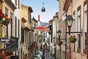 Funchal : visite rapide et amusante de 30 minutes en tuk-tuk avec un guide de la région