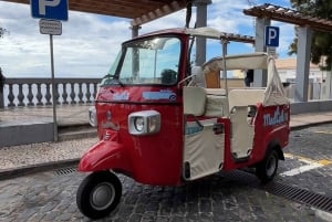 Funchal : visite rapide et amusante de 30 minutes en tuk-tuk avec un guide de la région