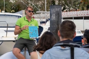 Funchal : Croisière observation des baleines et nage avec les dauphins (en option)