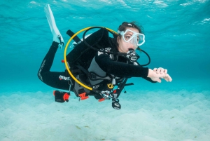 Funchal: Scuba Diving Experience for Beginners