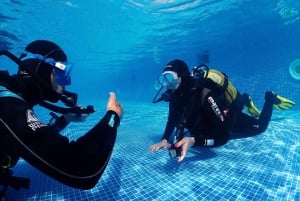 Funchal: Scuba Diving Experience for Beginners