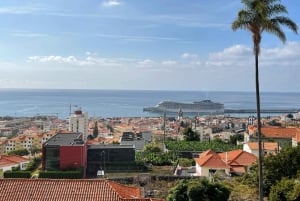 Funchal : Special views/seaside view points