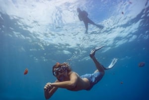 Funchal: Snorkeling Adventure in the Eco-Park