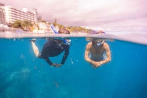 Funchal: Snorkeling Adventure in the Eco-Park