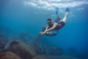 Funchal: Snorkeling Adventure in the Eco-Park