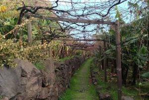 Funchal: Ukryte wioski południowej Madery - półdniowa wycieczka krajoznawcza