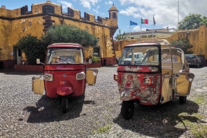 Фуншал : Особые виды/наблюдения со стороны моря