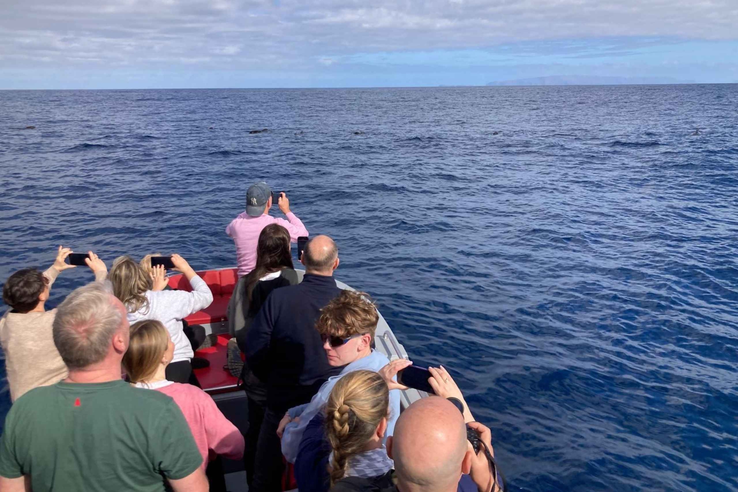 Funchal: in motoscafo VEDERE L'ISOLA E LA VITA IN MARE
