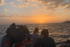 Funchal: in motoscafo VEDERE L'ISOLA E LA VITA IN MARE