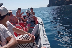 Funchal: in motoscafo VEDERE L'ISOLA E LA VITA IN MARE