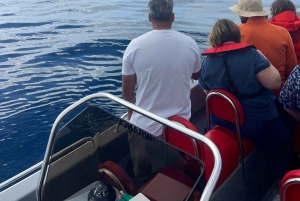 Funchal: in motoscafo VEDERE L'ISOLA E LA VITA IN MARE