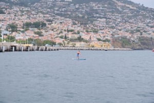 Funchal: Standup Paddle