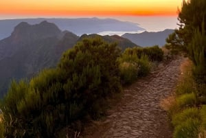Madeira: Sunrise Hike Transfer to Pico do Arieiro (PR1)