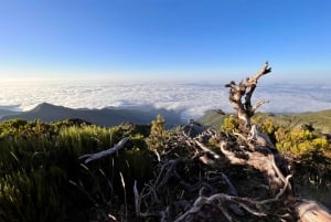 Madeira: Sunrise Hike Transfer to Pico do Arieiro (PR1)