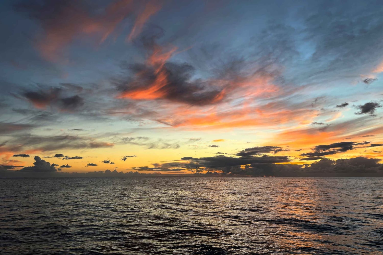 Funchal: Sunrise Private Sailing Trip with Breakfast