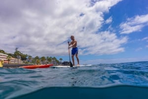 Funchal: SUP Rental or Guided tour with snorkeling