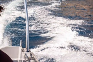 Funchal: Thrilling Speedboat tour - Madeira sparkling waters