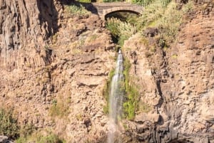 Funchal: Thrilling Speedboat tour - Madeira sparkling waters