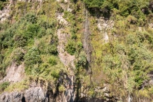 Funchal: Thrilling Speedboat tour - Madeira sparkling waters