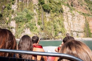 Funchal: Thrilling Speedboat tour - Madeira sparkling waters