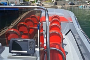 Funchal: Thrilling Speedboat tour - Madeira sparkling waters