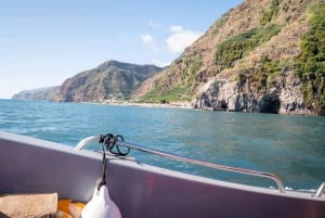 Funchal: Thrilling Speedboat tour - Madeira sparkling waters