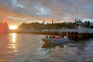 Funchal: Thrilling Speedboat tour - Madeira sparkling waters