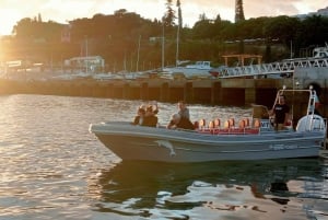 Funchal: Thrilling Speedboat tour - Madeira sparkling waters