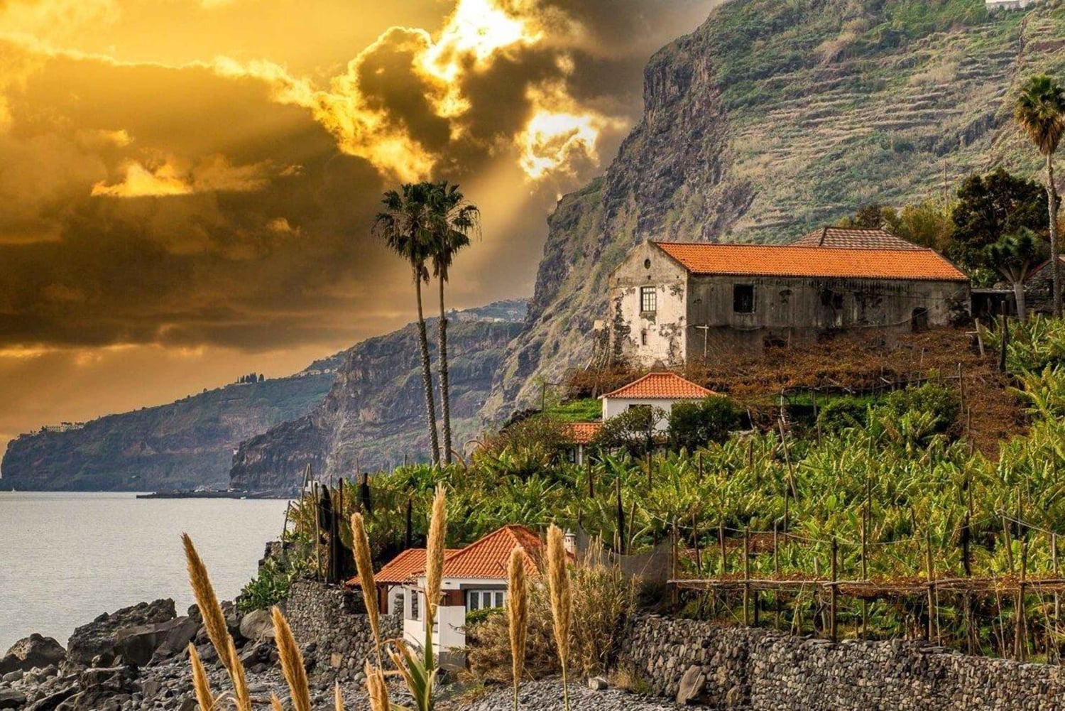 Funchal do Fajã dos Padres: Transfer z pływaniem i posiłkiem