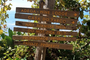 Funchal do Fajã dos Padres: Transfer z pływaniem i posiłkiem