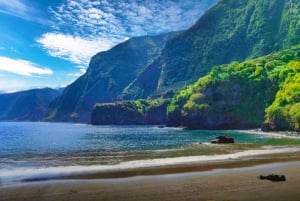 Funchal till Praia do Seixal: Transfer för stranddag