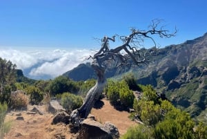 Funchal: Transfer to PR1 Pico do Arieiro & Pico Ruivo Trail