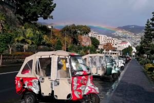 Funchal: giro in tuk tuk per il Monte Funchal Toboggans