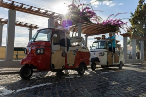 Funchal: Tuk Tuk-tur till de mest hisnande utsiktsplatserna