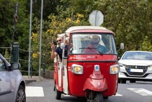 Funchal: Tuk Tuk-tur till de mest hisnande utsiktsplatserna