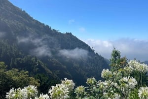 Funchal: Valley of the Nun’s tour by tuk tuk