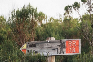 Funchal: Vereda do Fanal PR13 Vandring med transfer och guide