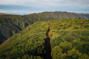 Funchal: Vereda do Fanal PR13 Vandring med transfer och guide